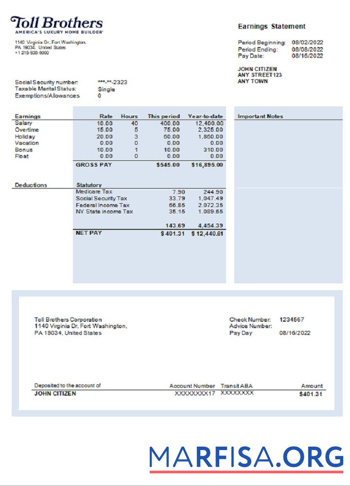 Realistic USA building company earning statement download for verification